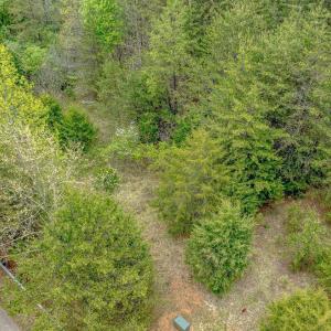 Photo #7 of 361 Clear Pointe Run, Lynch Station, VA 3.7 acres