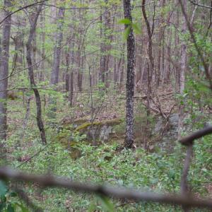 Photo #18 of 361 Clear Pointe Run, Lynch Station, VA 3.7 acres