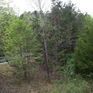 Photo #20 of 361 Clear Pointe Run, Lynch Station, VA 3.7 acres