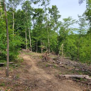Photo #6 of Totero Ct & Rosseechee Ct, Clarksville, VA 3.3 acres