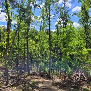 Photo #3 of Totero Ct & Rosseechee Ct, Clarksville, VA 3.3 acres