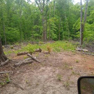 Photo #3 of Occoneechee Drive, Clarksville, VA 2.5 acres