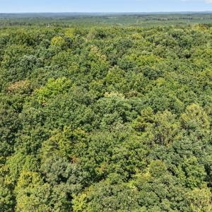 Photo #21 of Lot 8 Mud Street, Concord, VA 5.0 acres