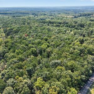 Photo #16 of Lot 8 Mud Street, Concord, VA 5.0 acres