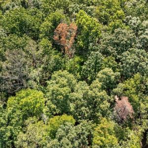 Photo #20 of Lot 8 Mud Street, Concord, VA 5.0 acres