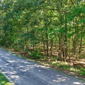 Photo #23 of Lot 8 Mud Street, Concord, VA 5.0 acres