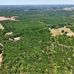 Photo #10 of Lot 8 Mud Street, Concord, VA 5.0 acres