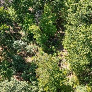 Photo #18 of Lot 8 Mud Street, Concord, VA 5.0 acres