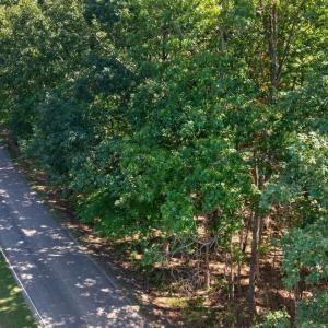 Photo #22 of Lot 8 Mud Street, Concord, VA 5.0 acres