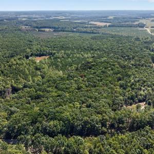 Photo #14 of Lot 8 Mud Street, Concord, VA 5.0 acres