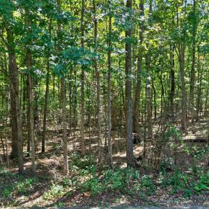 Photo #24 of Lot 8 Mud Street, Concord, VA 5.0 acres