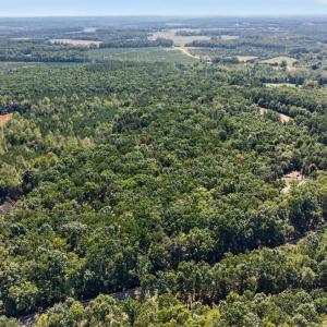 Photo #15 of Lot 8 Mud Street, Concord, VA 5.0 acres