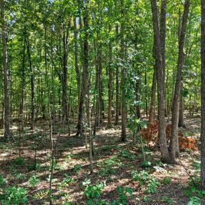 Photo #25 of Lot 8 Mud Street, Concord, VA 5.0 acres