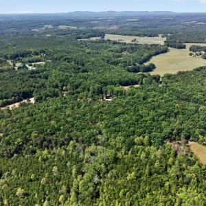 Photo #6 of Lot 8 Mud Street, Concord, VA 5.0 acres