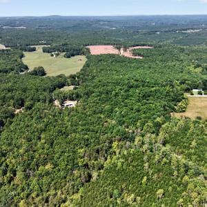 Photo #8 of Lot 8 Mud Street, Concord, VA 5.0 acres