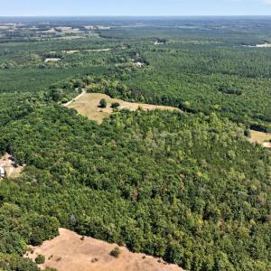 Photo #12 of Lot 8 Mud Street, Concord, VA 5.0 acres