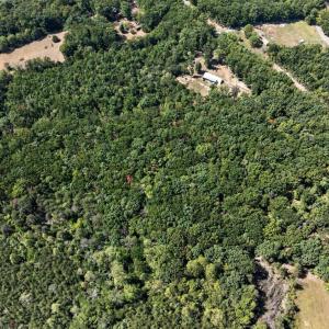 Photo #4 of Lot 8 Mud Street, Concord, VA 5.0 acres