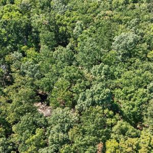 Photo #17 of Lot 8 Mud Street, Concord, VA 5.0 acres