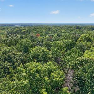 Photo #19 of Lot 8 Mud Street, Concord, VA 5.0 acres