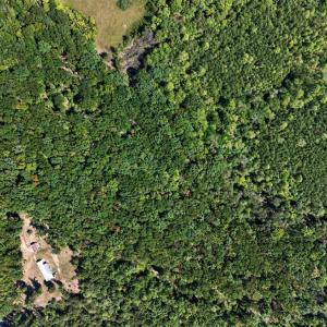 Photo #2 of Lot 8 Mud Street, Concord, VA 5.0 acres