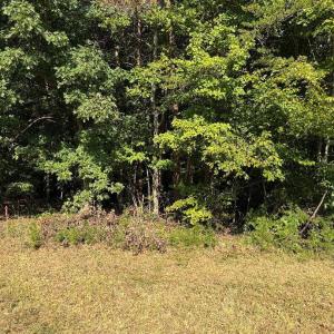 Photo #7 of Oakville Road, Gladstone, VA 17.4 acres