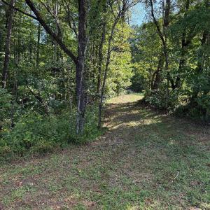 Photo #1 of Oakville Road, Gladstone, VA 17.4 acres