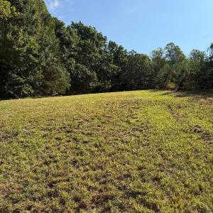 Photo #9 of Oakville Road, Gladstone, VA 17.4 acres