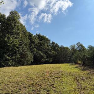 Photo #4 of Oakville Road, Gladstone, VA 17.4 acres