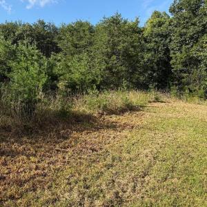 Photo #3 of Oakville Road, Gladstone, VA 17.4 acres