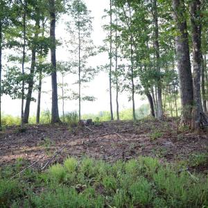 Photo #12 of Puppy Creek Road, Amherst, VA 129.1 acres