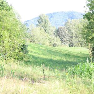 Photo #3 of Puppy Creek Road, Amherst, VA 129.1 acres