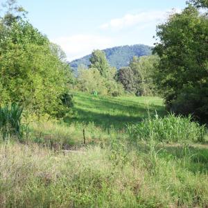 Photo #16 of Puppy Creek Road, Amherst, VA 129.1 acres