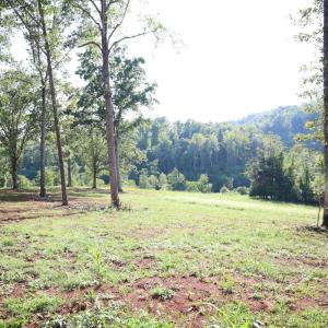 Photo #4 of Puppy Creek Road, Amherst, VA 129.1 acres