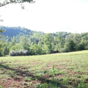 Photo #5 of Puppy Creek Road, Amherst, VA 129.1 acres