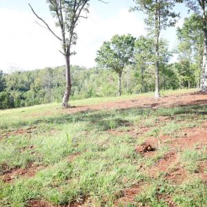 Photo #9 of Puppy Creek Road, Amherst, VA 129.1 acres