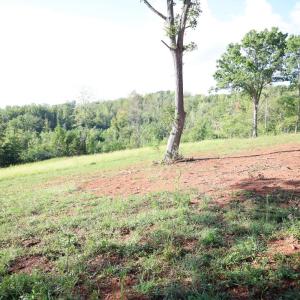 Photo #11 of Puppy Creek Road, Amherst, VA 129.1 acres