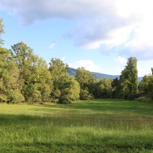 Photo #1 of Puppy Creek Road, Amherst, VA 129.1 acres