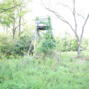 Photo #18 of Puppy Creek Road, Amherst, VA 129.1 acres