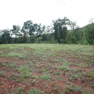 Photo #20 of Puppy Creek Road, Amherst, VA 129.1 acres