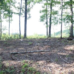 Photo #13 of Puppy Creek Road, Amherst, VA 129.1 acres