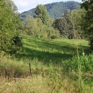 Photo #2 of Puppy Creek Road, Amherst, VA 129.1 acres