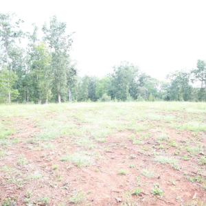 Photo #19 of Puppy Creek Road, Amherst, VA 129.1 acres