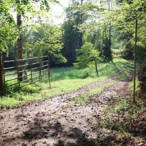 Photo #6 of Puppy Creek Road, Amherst, VA 129.1 acres