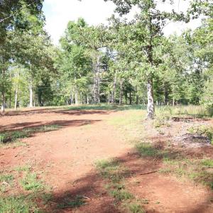 Photo #8 of Puppy Creek Road, Amherst, VA 129.1 acres