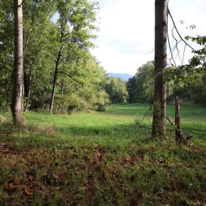 Photo #23 of Puppy Creek Road, Amherst, VA 129.1 acres