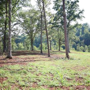Photo #10 of Puppy Creek Road, Amherst, VA 129.1 acres