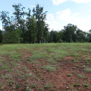 Photo #21 of Puppy Creek Road, Amherst, VA 129.1 acres