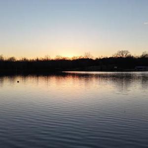 Photo #16 of 9999 Randolph Creek Road, New Canton, VA 60.0 acres