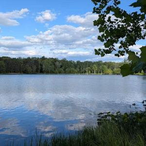 Photo #77 of 9999 Randolph Creek Road, New Canton, VA 60.0 acres