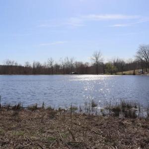 Photo #17 of 9999 Randolph Creek Road, New Canton, VA 60.0 acres